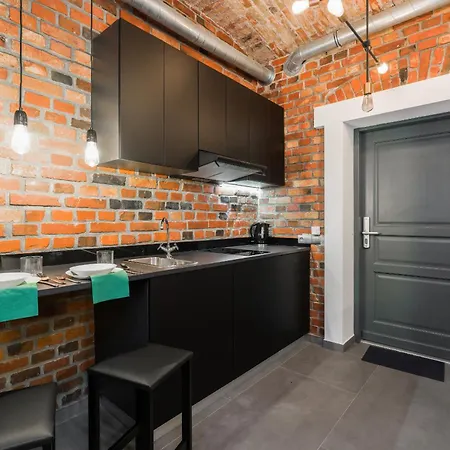 Level -1 Loft Center By Renters * Poznan