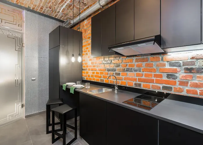 Level -1 Loft Center By Renters * 波兹南