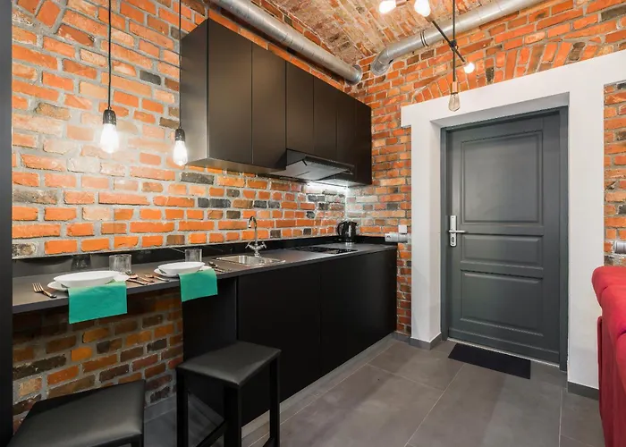 Level -1 Loft Center By Renters * 波兹南